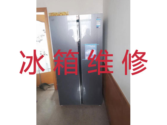 深圳维修冰箱服务